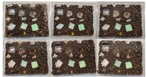 Barley: Bioplastics & Sustainable Feed Solutions for the Future!