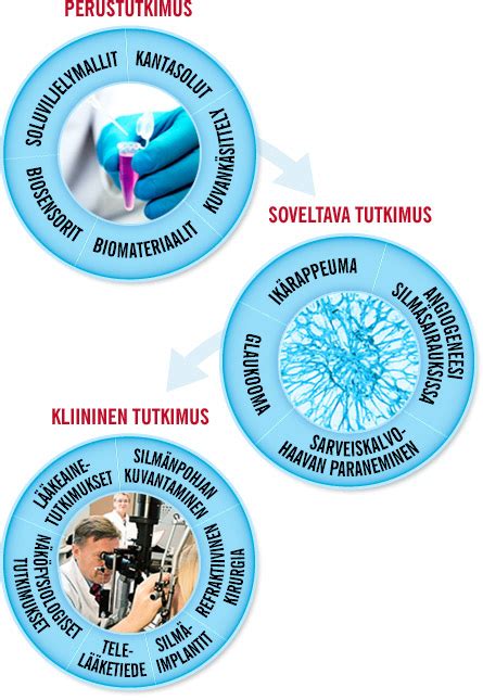  Johtavaan Jaksoon Soveltuva Ja Kestävä Juurenpolymeeri: Tutkimus Täydellisestä Materiaalista?