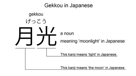 月へんの漢字 体の部位 ～月の光が照らす体の神秘～